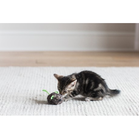 Jackson galaxy shop motor mouse